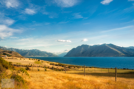 Blue and gold on the side of Lake Hawea in New Zealand