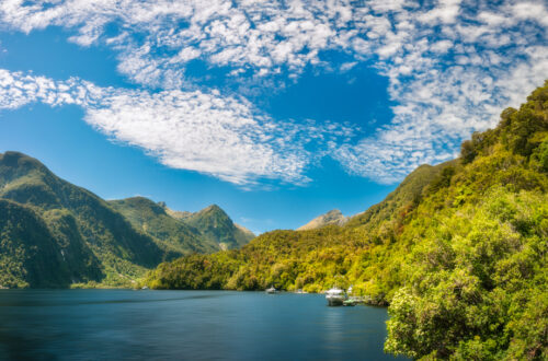 Deep Cove with the Shipping Docks and the Mountain Tops in the fjord at Doubtful Sound in New Zealand