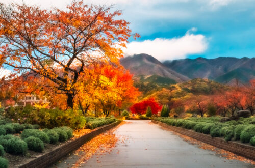Spectacular autumn colors after rain in a resort town close to Mount Fuji in Japan