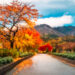 Spectacular autumn colors after rain in a resort town close to Mount Fuji in Japan