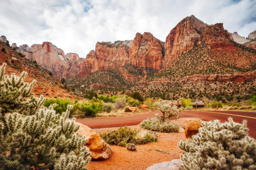 Scenic mountain range at Zion National Park with cacti in the foreground - Utah, USA